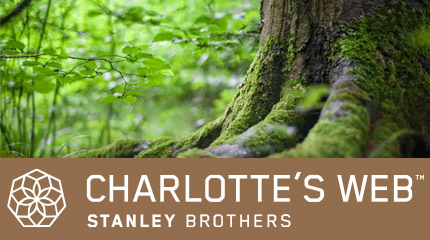 charlotte's web cbd hemp oils tipton compounding pharmacy franklin nc