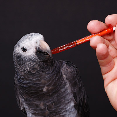 veterinary compounding pharmacy